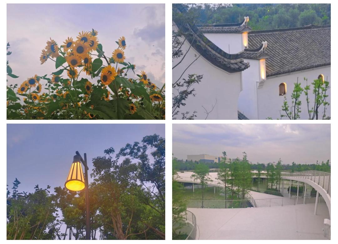 義烏橫塘公園:拍照打卡的絕佳地點(diǎn)