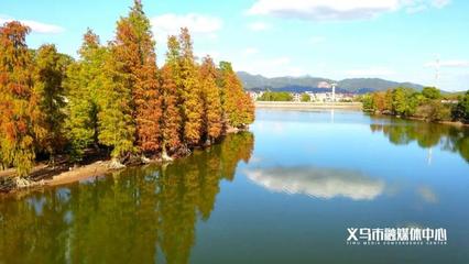 美得過分!義烏這個(gè)拍照圣地,不去一趟太可惜