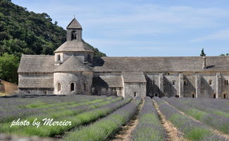 攝影之旅 法國(guó)11日9晚跟團(tuán)游 巴黎盧浮宮 塞納河游船 凡爾賽宮