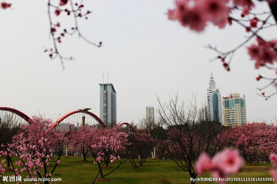 春天里的義烏攝影圖__建筑景觀_自然景觀_攝影圖庫(kù)