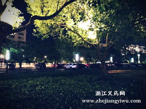 浙江義烏網攝影圖片 金華金東區政府對面的施光南音樂廣場