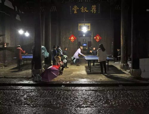 原來如此震撼，這是義烏農村——根的力量