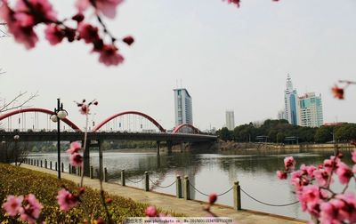 春水初生·鏡觀義烏江